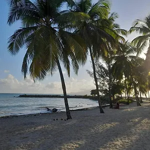 https://charmant-studio-de-standing-gosier.comcaribbean.com